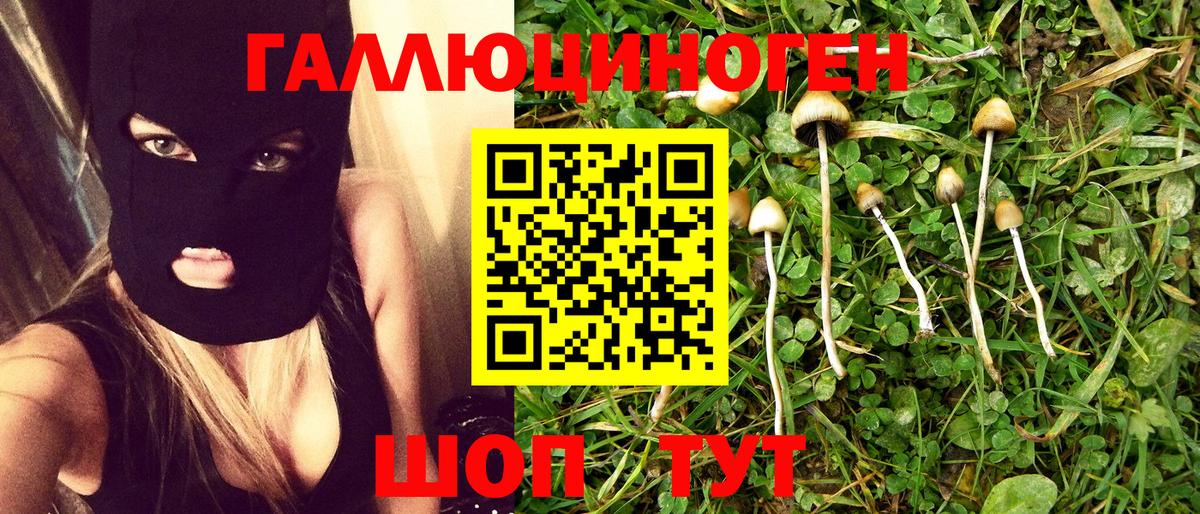 Псилоцибиновые грибы мицелий Екатеринбург