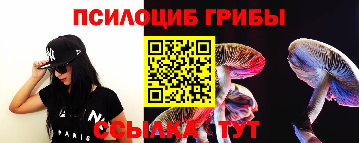 купить  сайты  Галлюциногенные грибы Cubensis  Галлюциногенные грибы MAGIC MUSHROOMS  Вход с VPN  Екатеринбург 